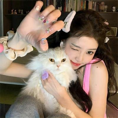 小猪进城封面