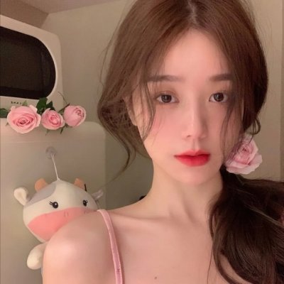 鸟是海与树的孩子封面